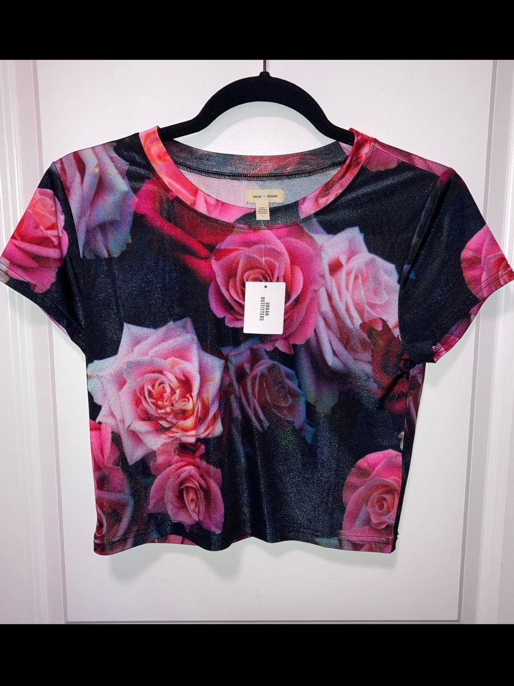 silence + noise Rose Crop Top